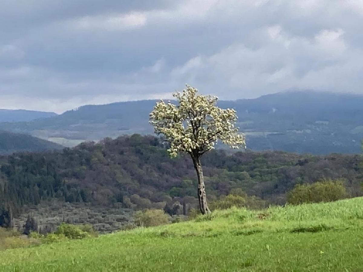 Bio Agriturismo Il Torrione Saturnia Εξωτερικό φωτογραφία