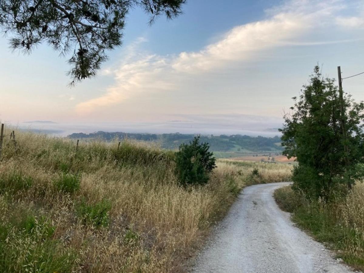 Bio Agriturismo Il Torrione Saturnia Εξωτερικό φωτογραφία