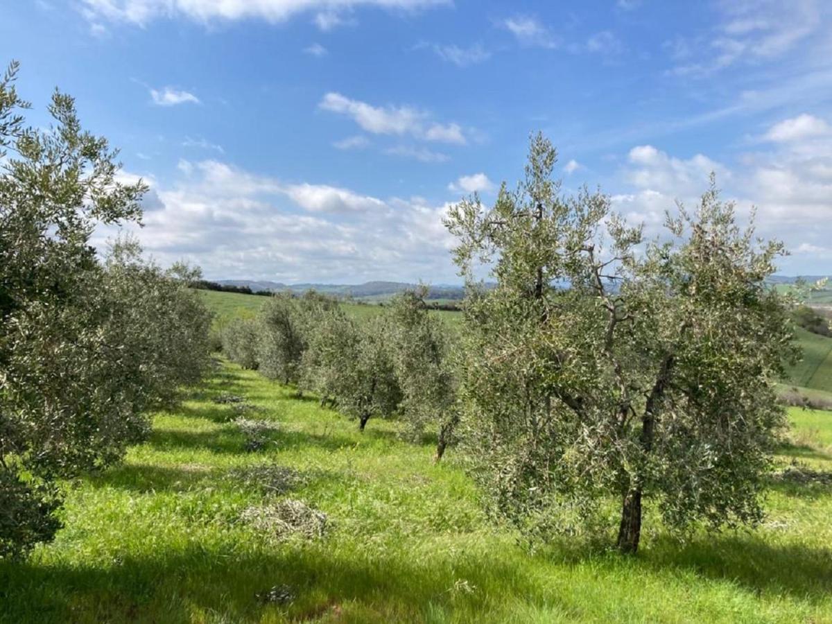 Bio Agriturismo Il Torrione Saturnia Εξωτερικό φωτογραφία