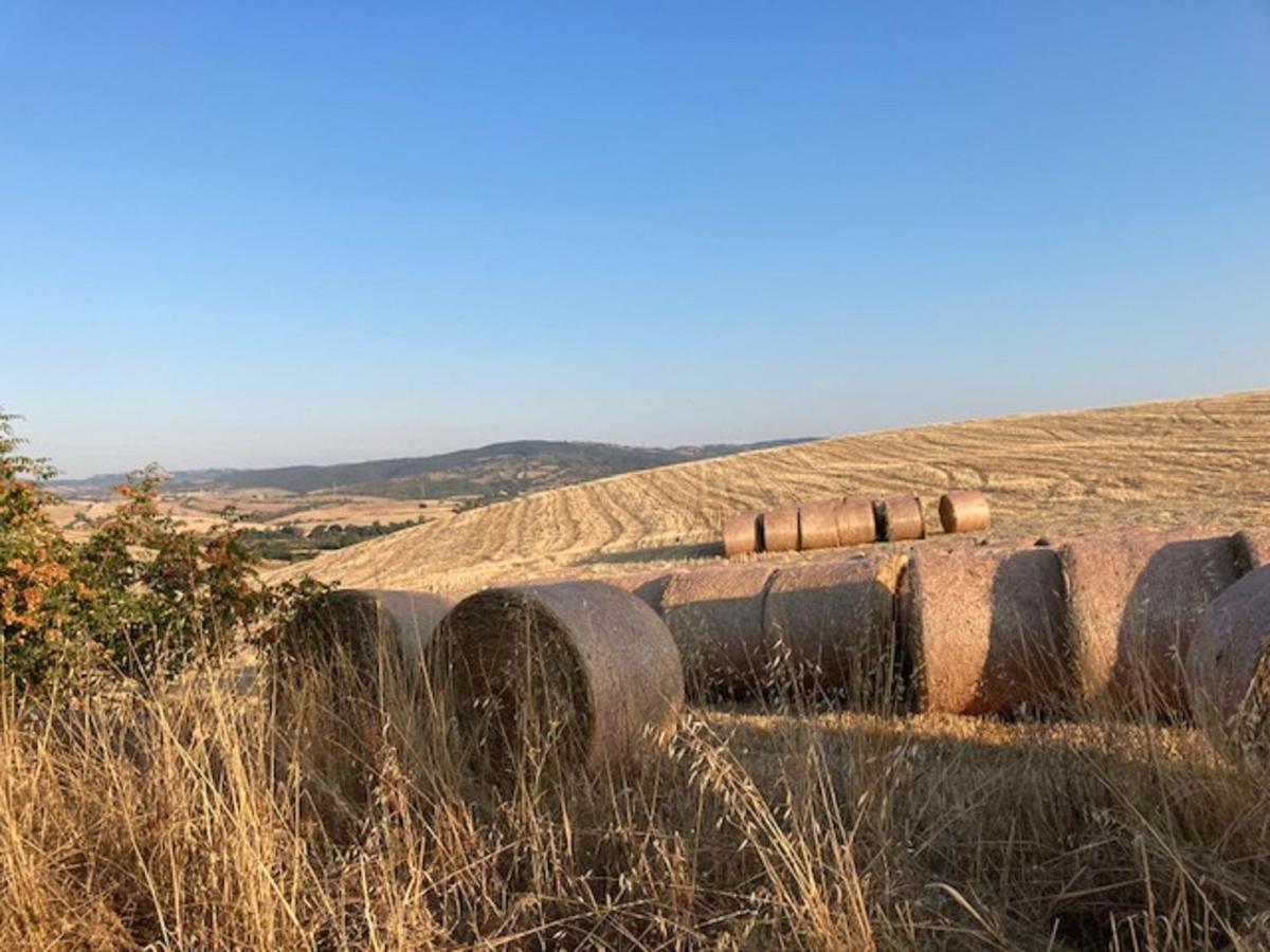 Bio Agriturismo Il Torrione Saturnia Εξωτερικό φωτογραφία