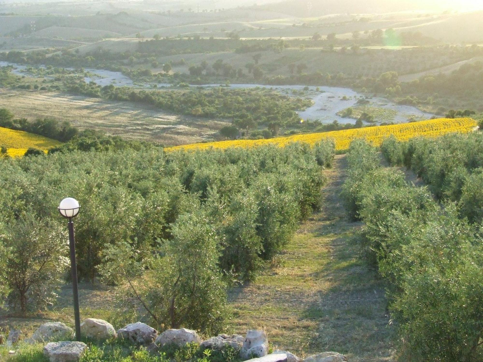 Bio Agriturismo Il Torrione Saturnia Εξωτερικό φωτογραφία